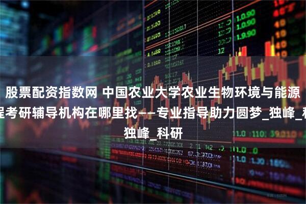 股票配资指数网 中国农业大学农业生物环境与能源工程考研辅导机构在哪里找——专业指导助力圆梦_独峰_科研