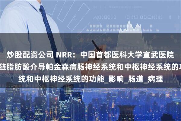 炒股配资公司 NRR：中国首都医科大学宣武医院陈彪教授团队总结短链脂肪酸介导帕金森病肠神经系统和中枢神经系统的功能_影响_肠道_病理