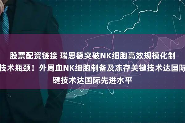 股票配资链接 瑞思德突破NK细胞高效规模化制备、存储技术瓶颈！外周血NK细胞制备及冻存关键技术达国际先进水平